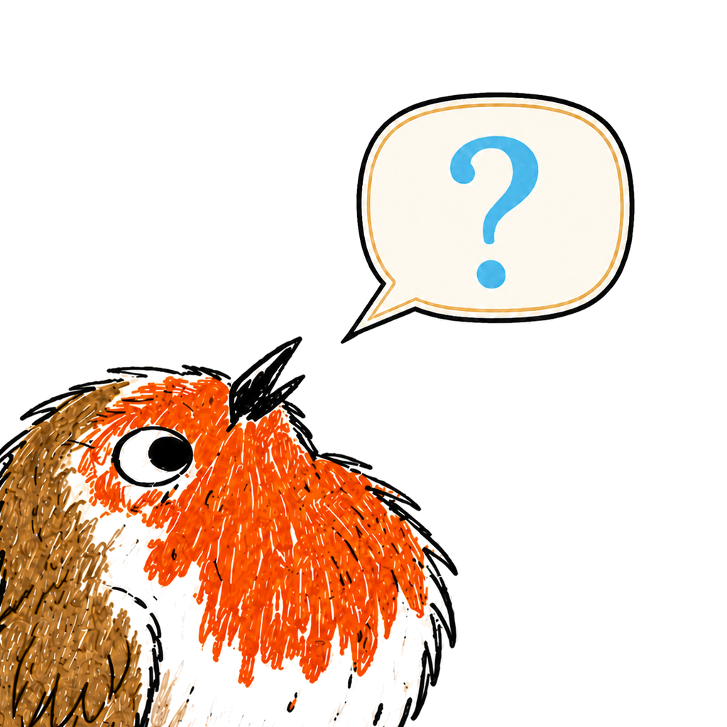 Pembroke Games WordBird app icon showing a robin and a question mark